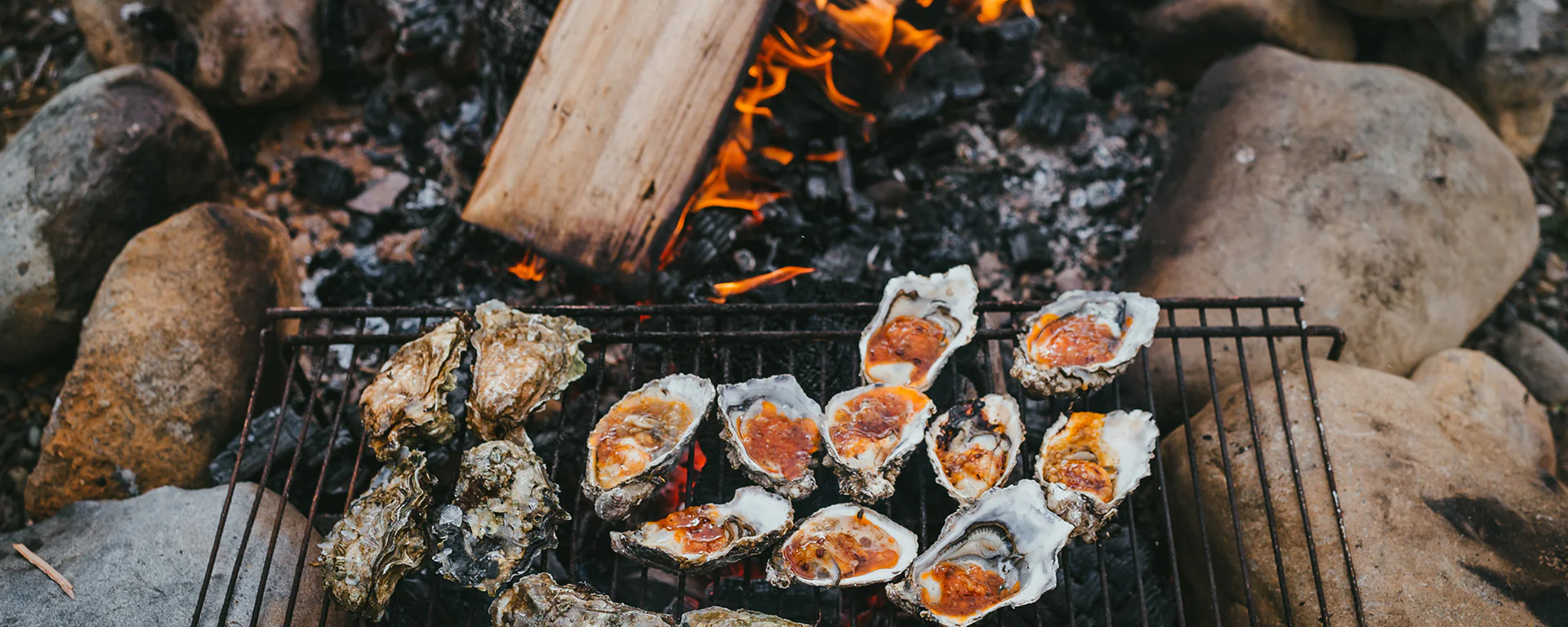 Fresh Oysters From Our Tide